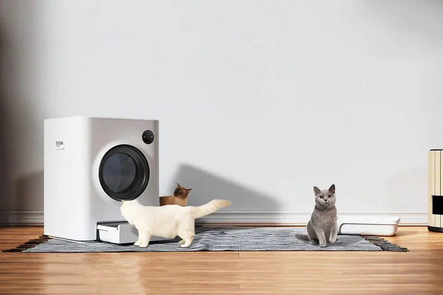 best automatic cat litter